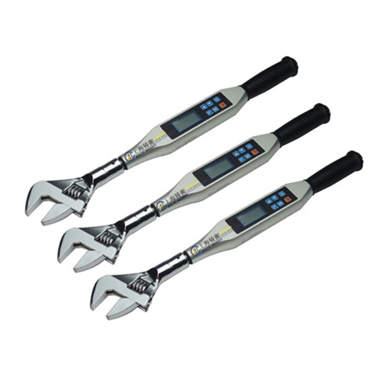 數(shù)顯式瓶蓋擰緊扭力矩檢測扳手